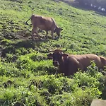 Casa de Campo Ca Granja Paraíso, Oasis Rural&bienestar *