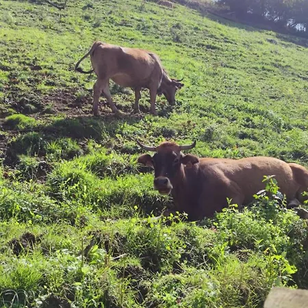 Lantställe Ca Granja Paraiso, Oasis Rural & Bienestar *