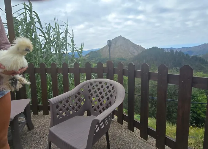 Casa rural Ca Granja Paraíso, Oasis Rural&bienestar *